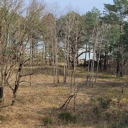 Apricum - Mein Sonnenlicht - Haus Granitz Апартаменты *